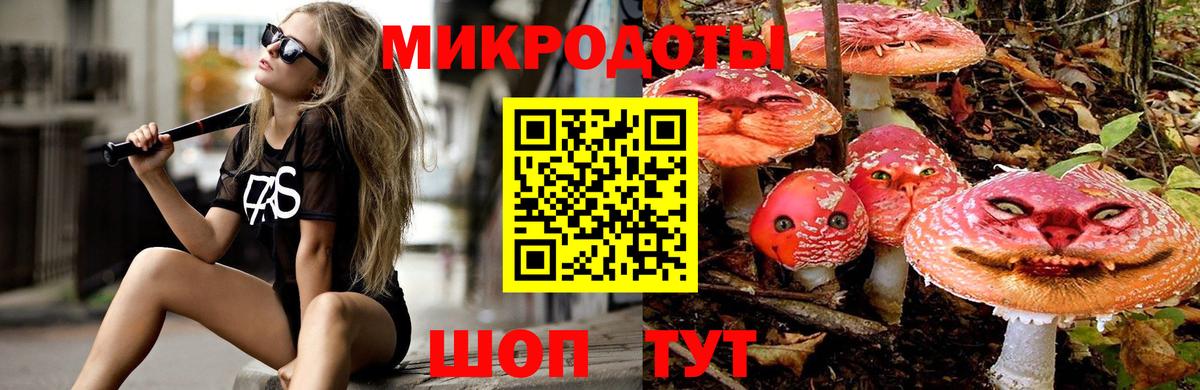 Псилоцибиновые грибы MAGIC MUSHROOMS Кулебаки