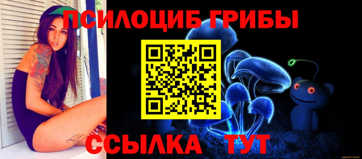 Кулебаки  Псилоцибиновые грибы мухоморы  Вход с VPN 